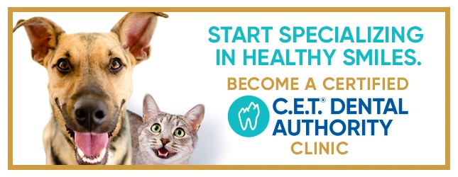 Dental Authority Certification Program